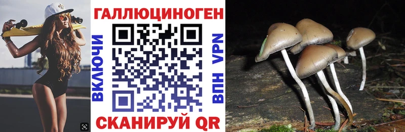где купить   Юрьев-Польский  Галлюциногенные грибы ЛСД 
